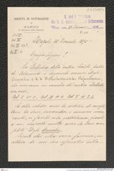 k.k. naturhistorisches Hofmuseum, Intendanzakten 1885-1896 (Hauer), Aktenzahl Z.51/1891, Seite 1